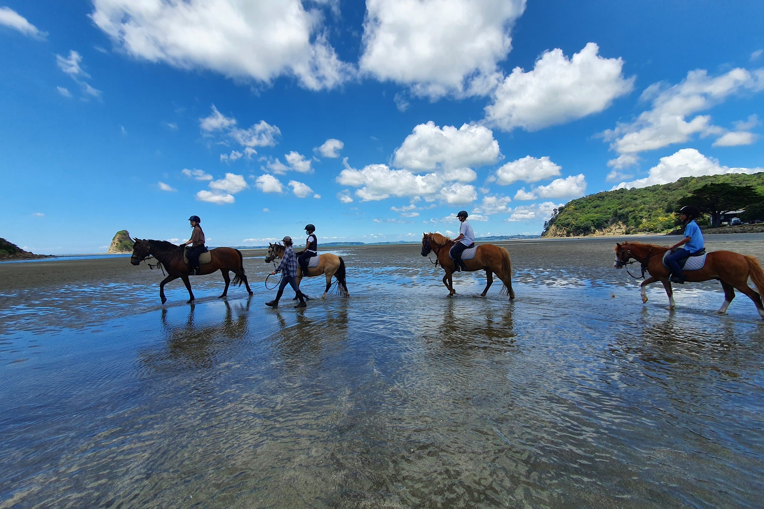 Four riders and a handler crossing shallow water at the beach on a clear day