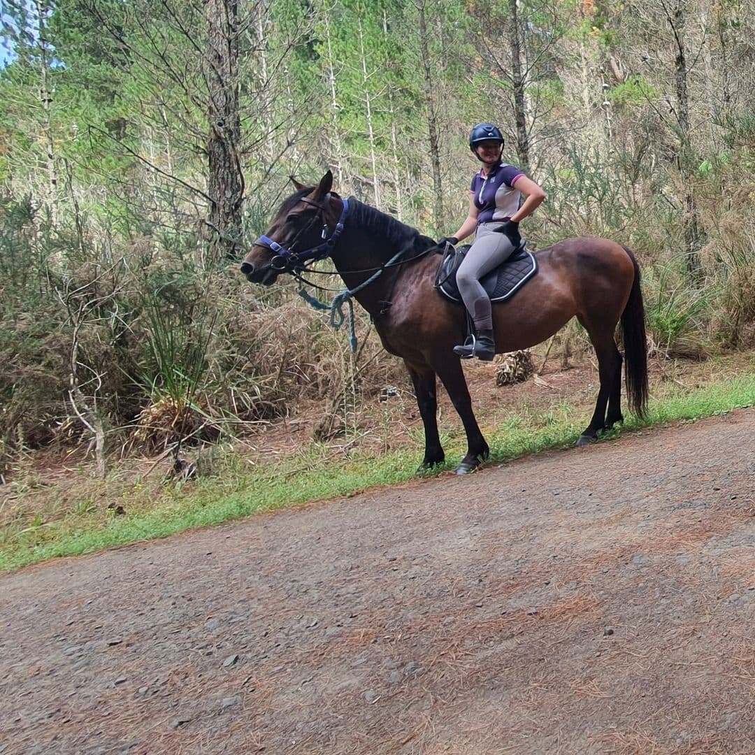 A rider on a chestnut horse on a forest trail