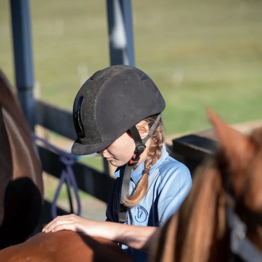 A student in a riding helmet brushing a chestnut horse