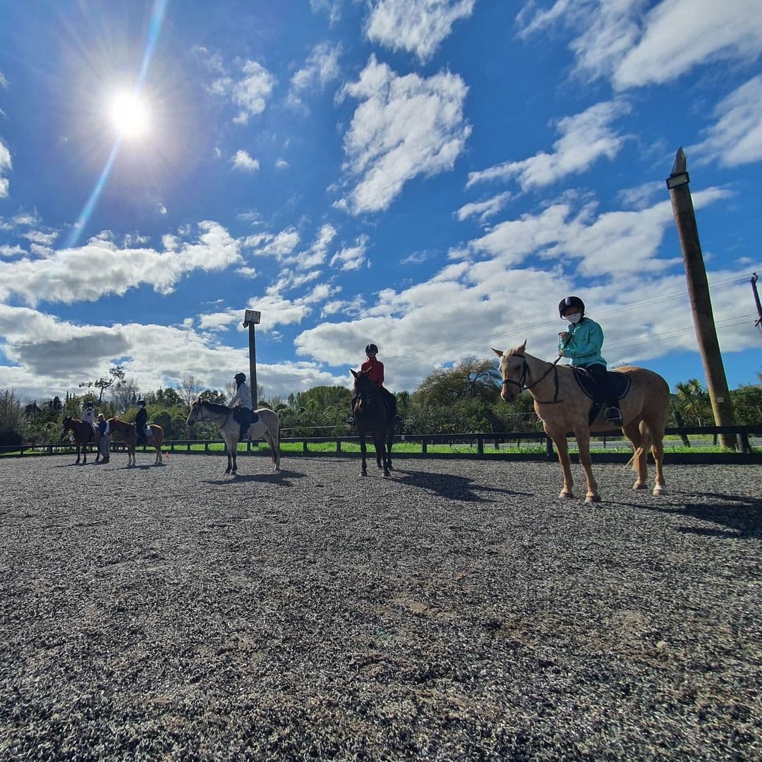 Riders in the arena under a bright sky with the sun high behind them